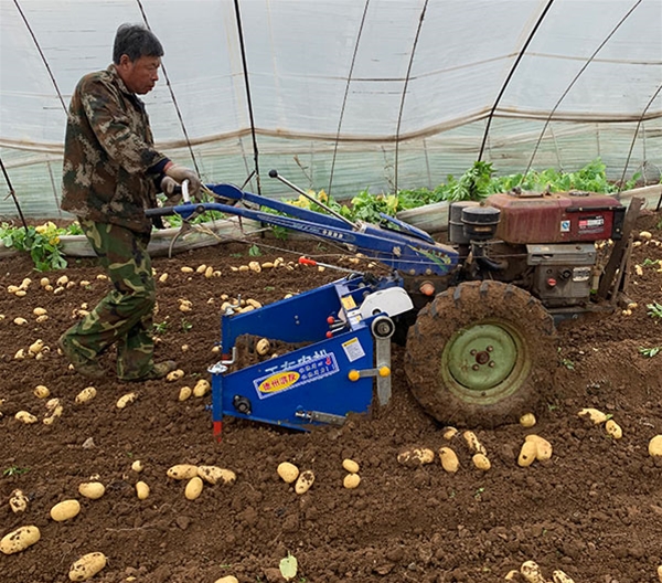 4UC馬鈴薯收獲機(jī)效果圖